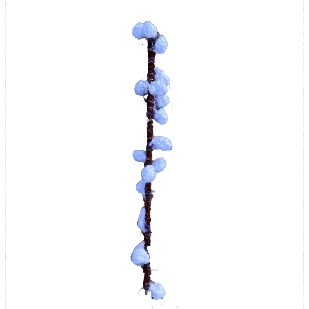 cica-maca-1